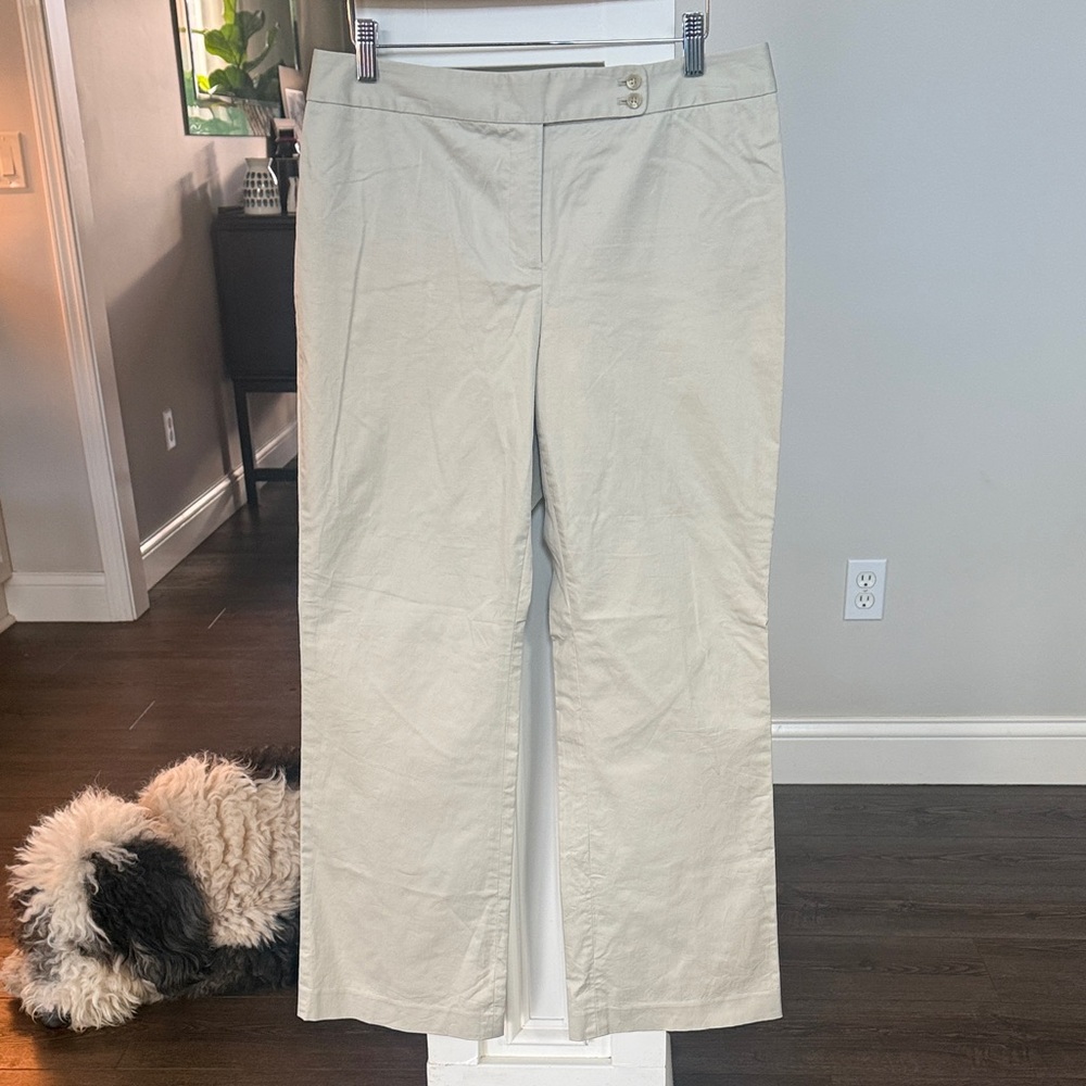 Ann Taylor NWOT stone color Cotton Blend Pants 10p